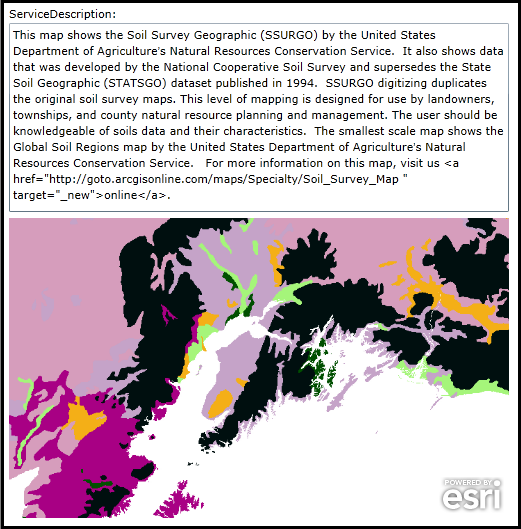 Showing the ServiceDescription of an ArcGISTiledMapServiceLayer.